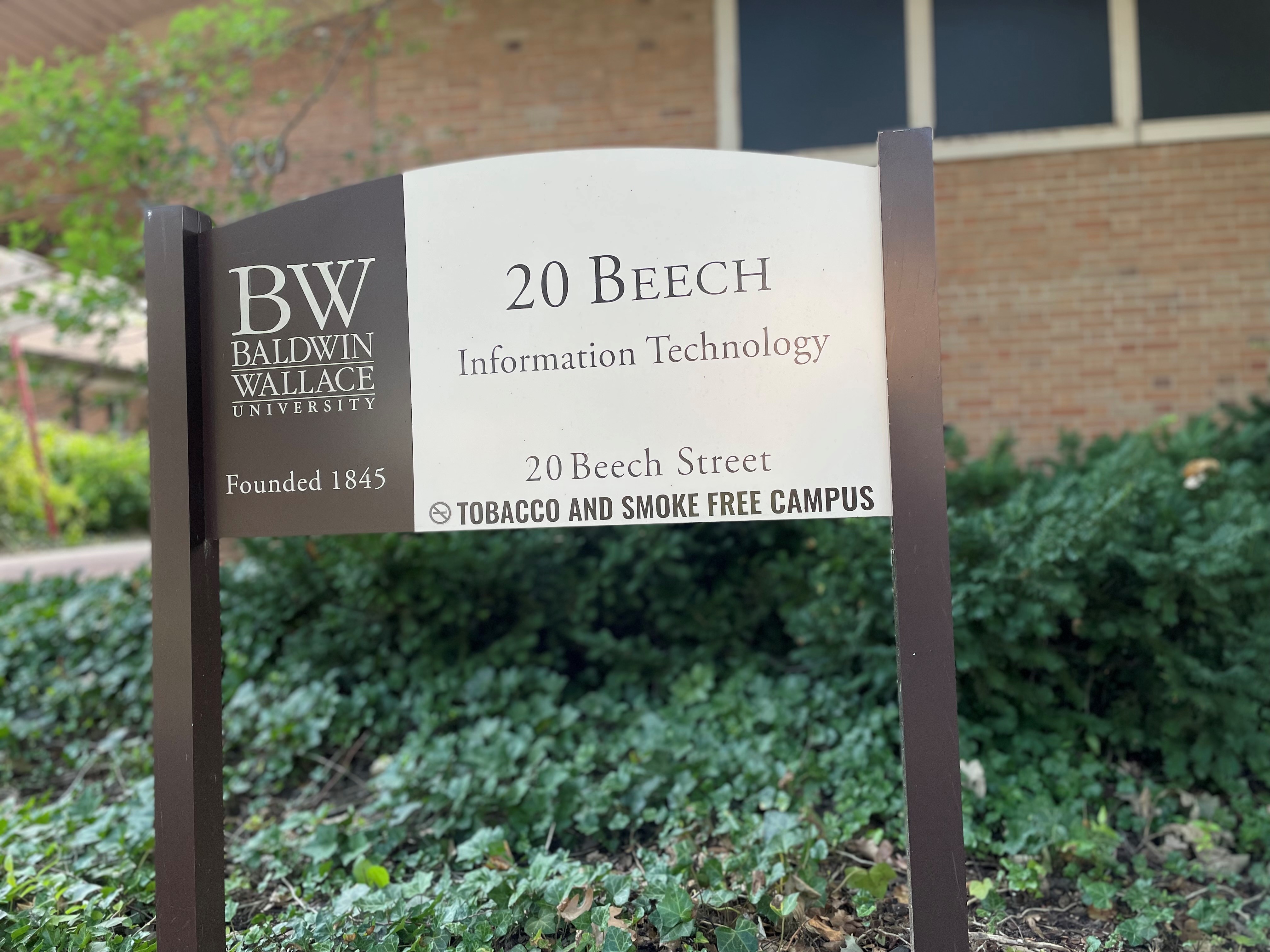 20Beech.jpg